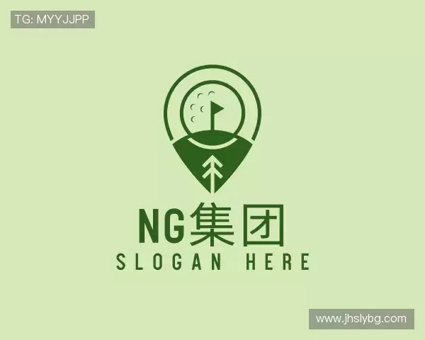 关于ng集团